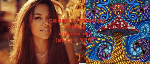 амф Алексин